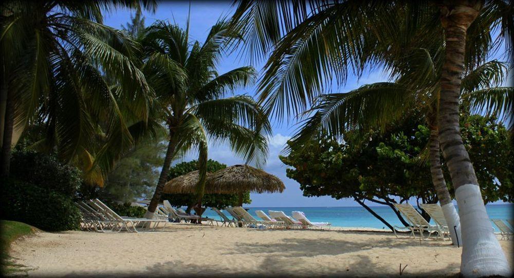 Caribbean Club Boutique Hotel, Grand Cayman Dog City Zewnętrze zdjęcie